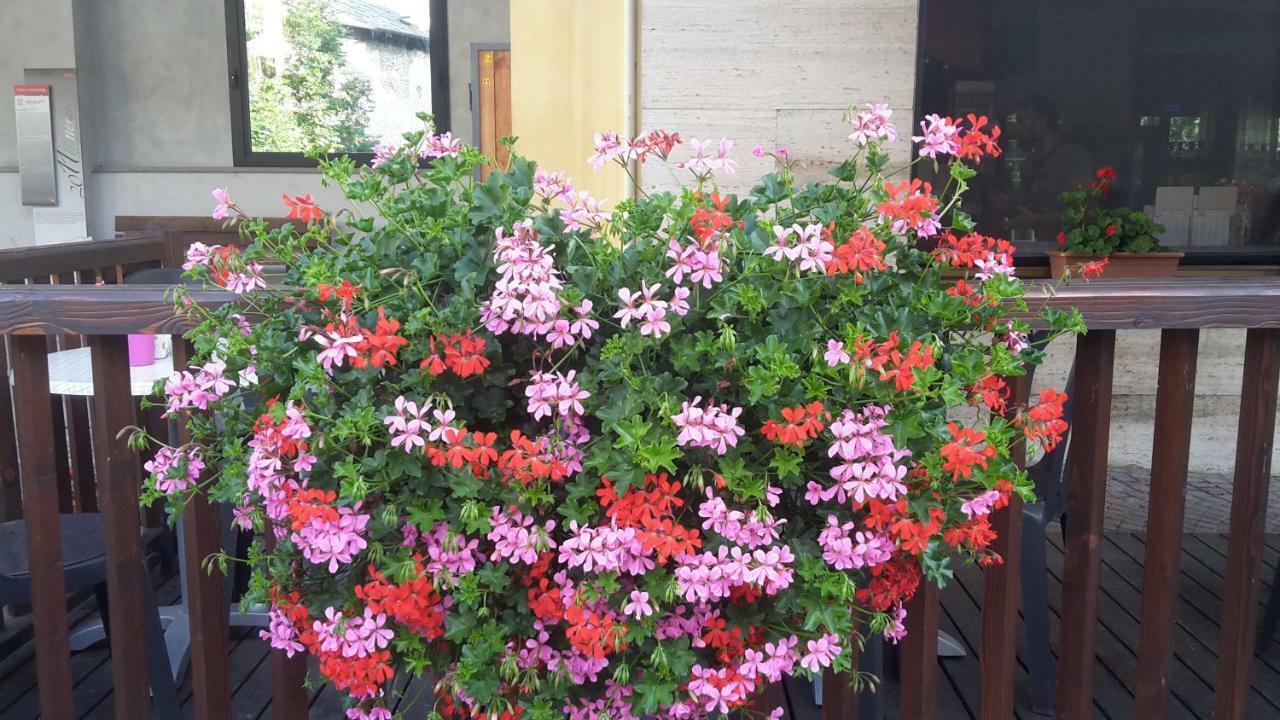 Albergo Ristorante Centro Vico Canavese Kültér fotó
