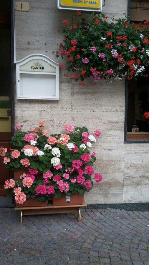 Albergo Ristorante Centro Vico Canavese Kültér fotó